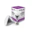 Asalite Infra Izzó R125 E27 150W Áttetsző