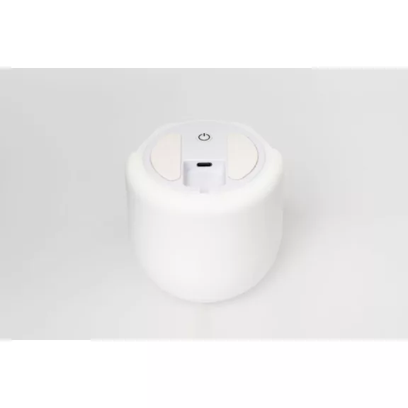 Asalite LED Éjjeli Lámpa Pingvin 1W Asalite LED Éjjeli Lámpa Pingvin 1W