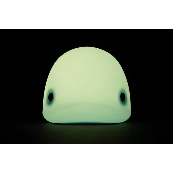 Asalite LED Éjjeli Lámpa Delfin 1W