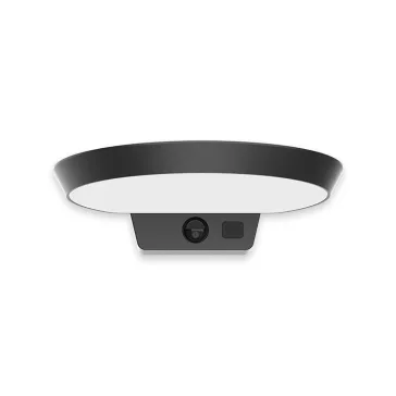   Asalite LED Napelemes Szolár Kerti Lámpa IP54 6W CCT (600 lumen) Kerek + Szenzor